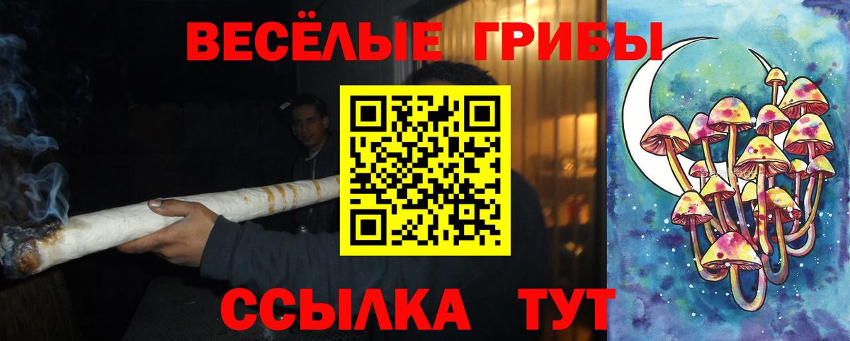 Буйнакск  Псилоцибиновые грибы Psilocybine cubensis  Вход с VPN 